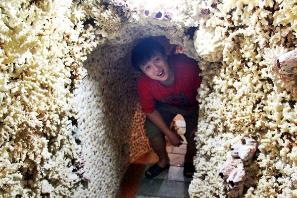 新北三芝景點 | 富福頂山寺 貝殼廟 上百種珊瑚與六萬多種貝殼堆砌的海底美景 北海岸十八羅漢洞這兒更驚艷