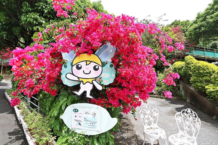 沖繩本部町景點 琉宮城 蝶々園 零距離與數量爆多的蝴蝶在花園共舞 美麗海水族館旁 密集恐懼症的朋友請注意 xDDD