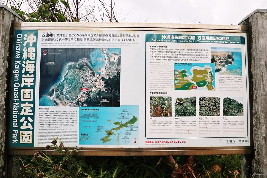 沖繩恩納景點 万座毛 萬座毛 日版象鼻岩 珊瑚礁形成的斷崖 琉球國王讚嘆的大草原