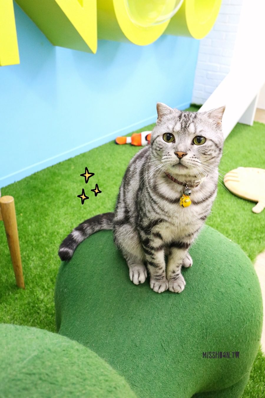 台中西區美食【咪奴咖啡】Minou Cafè．超可愛貓咪咖啡廳．友善寵物&#038;親子．也可以帶自己的毛小孩來玩喔！3D立體貓咪拉花超猛！