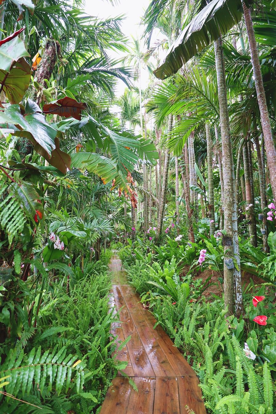 沖繩景點推薦【東南植物樂園】用五感體驗的植物園！零距離餵動物！釣魚．觀光導覽巴士