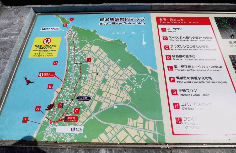 沖繩本部町景點【備瀬のフクギ並木/備瀨福木林道】來去北部海灘玩水～騎單車！還可搭乘水牛拉車喔！