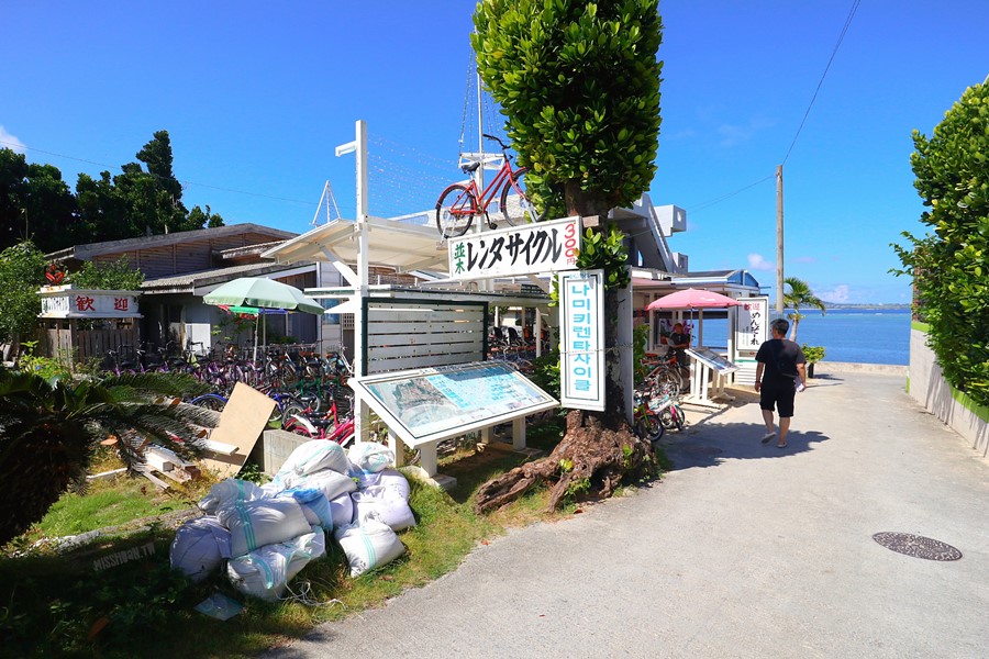 沖繩本部町景點【備瀬のフクギ並木/備瀨福木林道】來去北部海灘玩水～騎單車！還可搭乘水牛拉車喔！