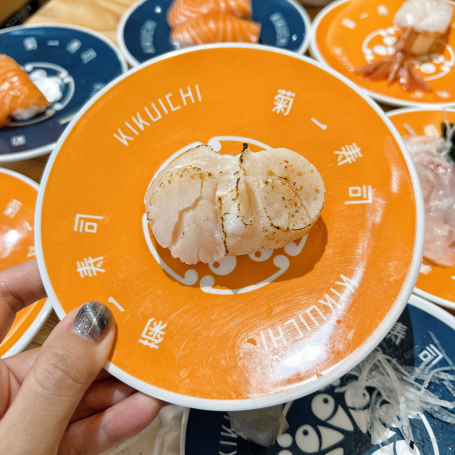 台中北區美食【菊一壽司】一盤只要25元！鮭魚買一送一活動開跑啦！近中華路夜市