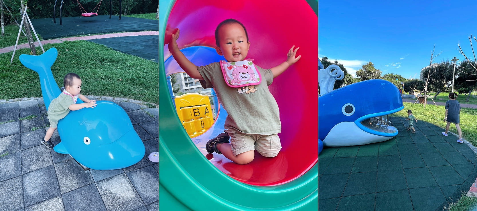 台中清水景點【台中海洋館】2025新景點開幕啦！試營運票價打八折！親子族群最愛室內玩水泥灘區！五層吹冷氣樓悠哉逛！