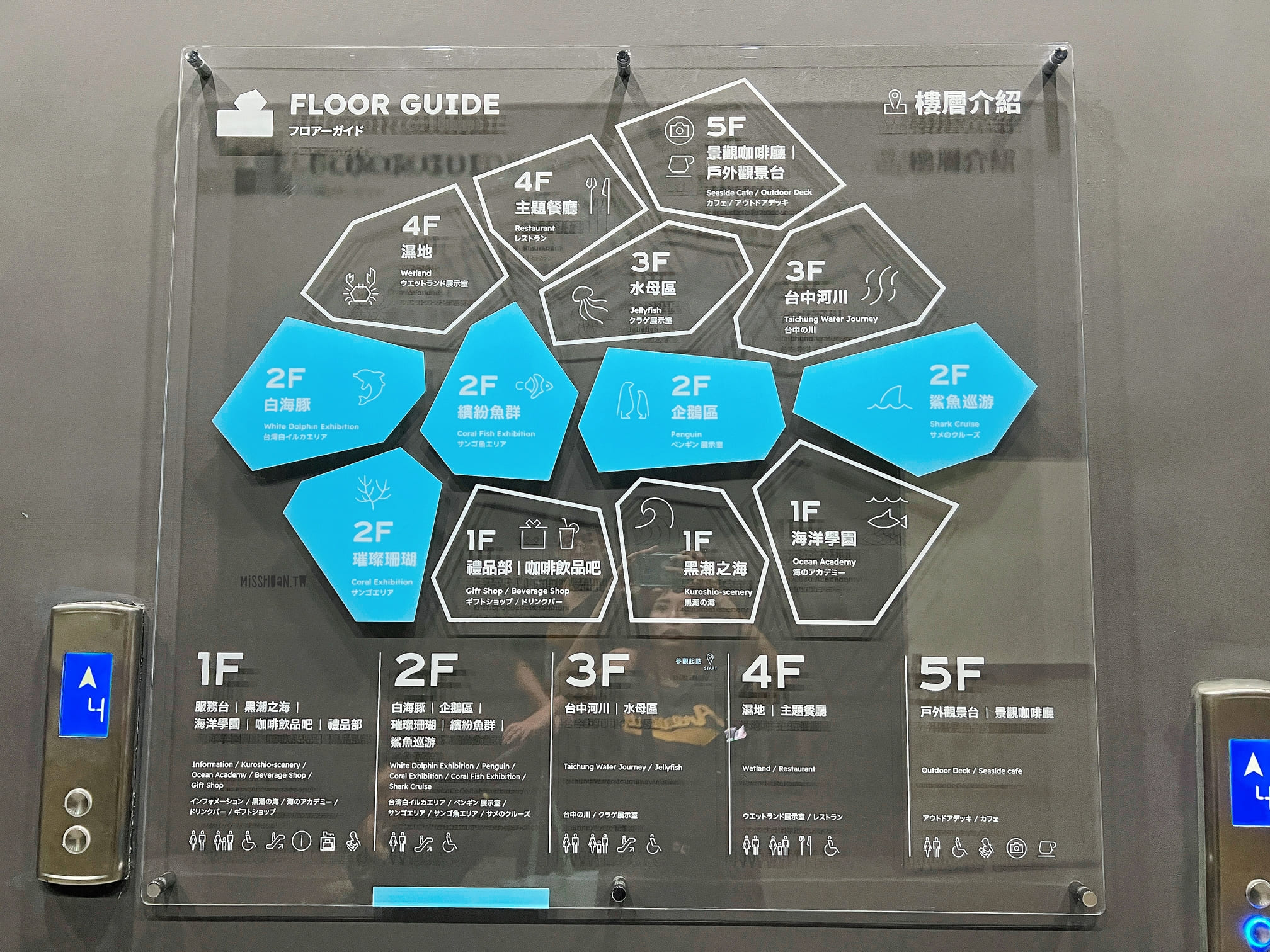 台中清水景點【台中海洋館】2025新景點開幕啦！試營運票價打八折！親子族群最愛室內玩水泥灘區！五層吹冷氣樓悠哉逛！