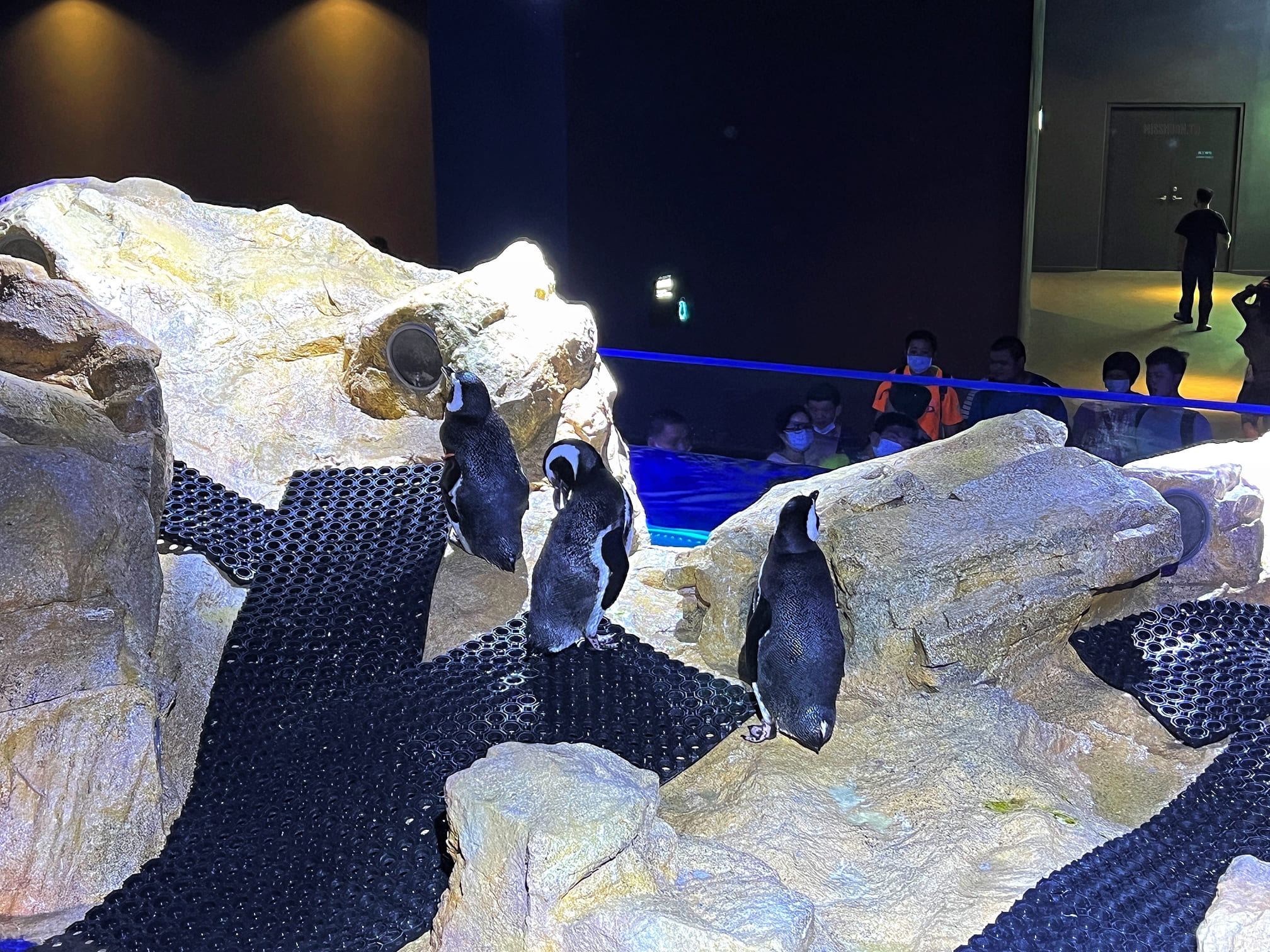 台中清水景點【台中海洋館】2025新景點開幕啦！試營運票價打八折！親子族群最愛室內玩水泥灘區！五層吹冷氣樓悠哉逛！