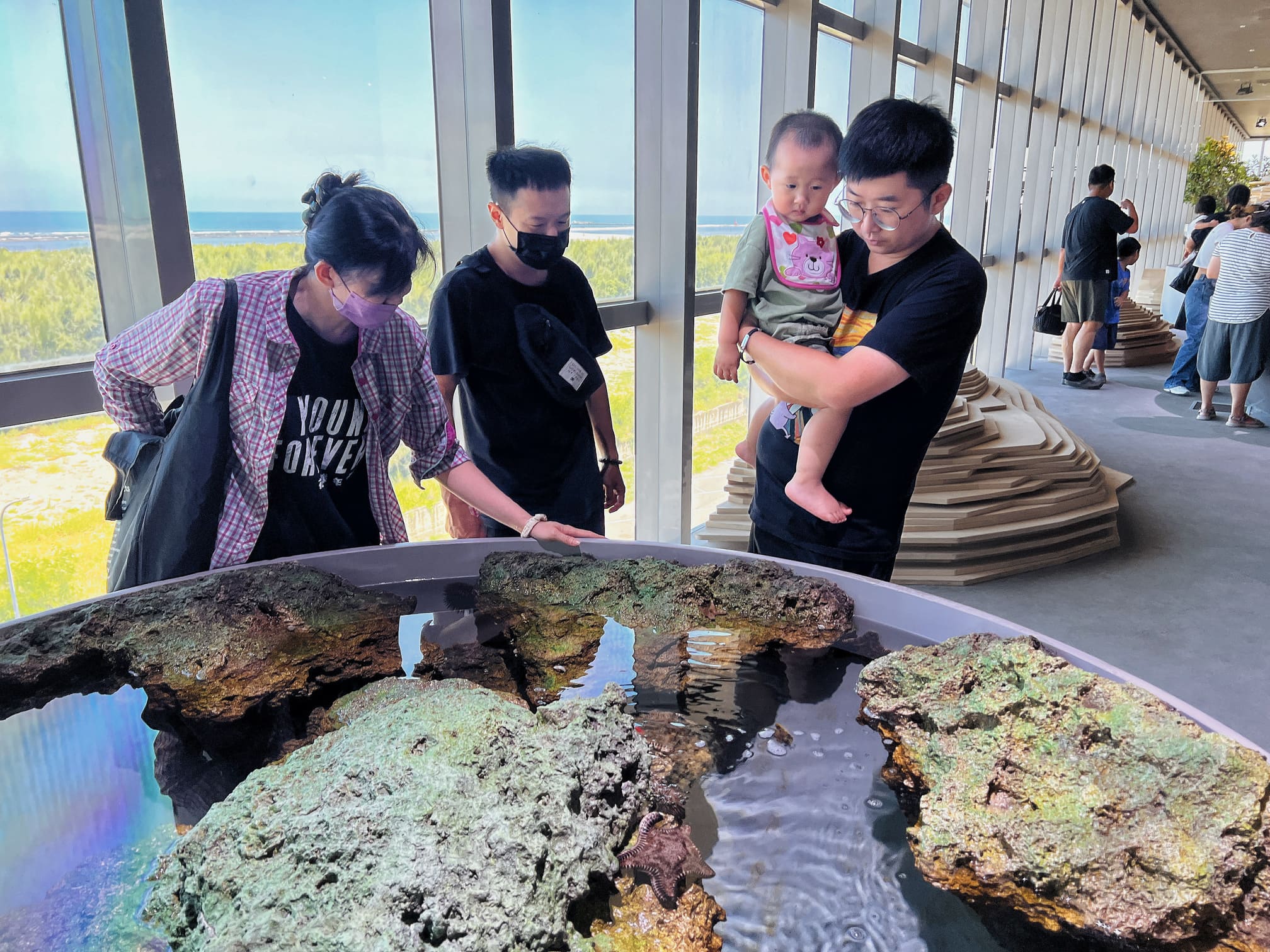 台中清水景點【台中海洋館】2025新景點開幕啦！試營運票價打八折！親子族群最愛室內玩水泥灘區！五層吹冷氣樓悠哉逛！