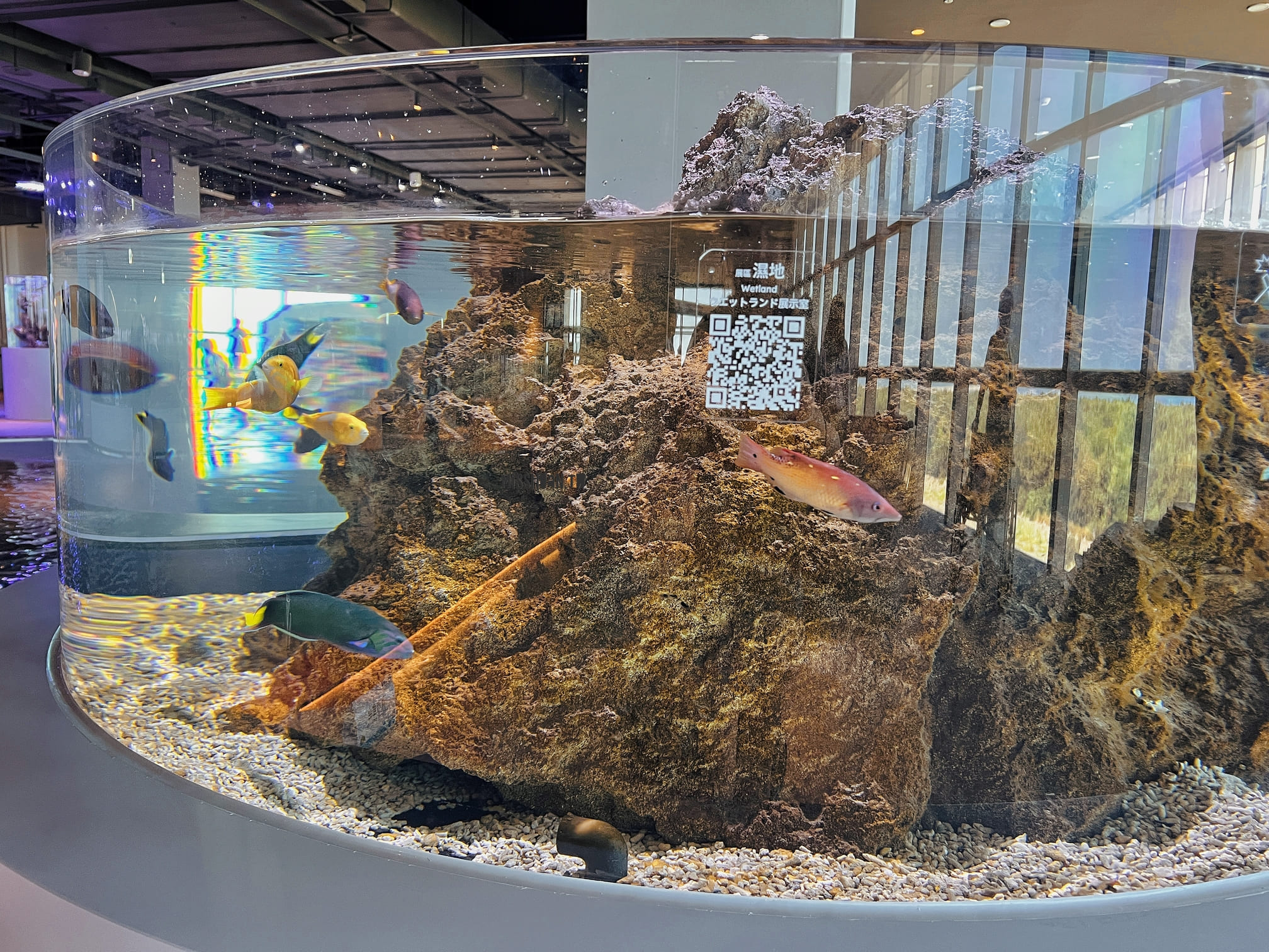 台中清水景點【台中海洋館】2025新景點開幕啦！試營運票價打八折！親子族群最愛室內玩水泥灘區！五層吹冷氣樓悠哉逛！