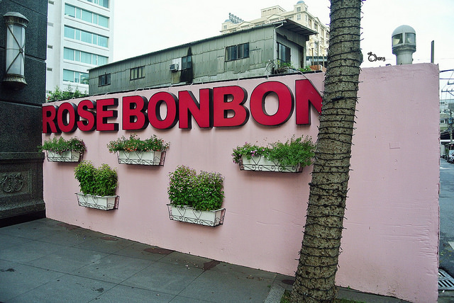 Rose Bon Bon 蜜朵花園