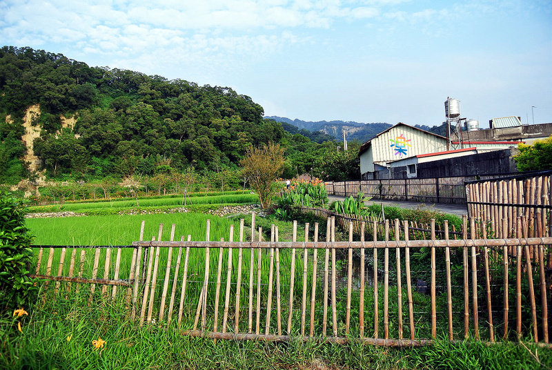 稻鴨庄農場